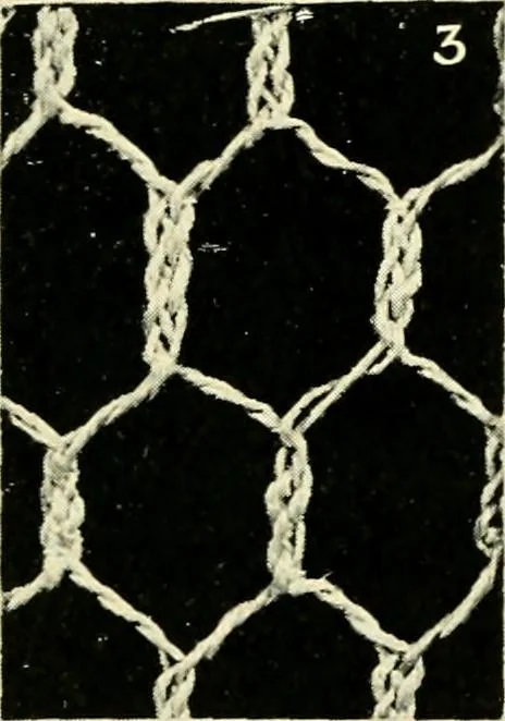 An illustration from Point and pillow lace; a short account of various kinds, ancient and modern, and how to recognise them, 1905, leaf 30
