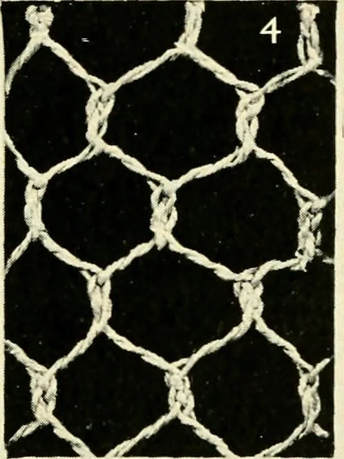 An illustration from Point and pillow lace; a short account of various kinds, ancient and modern, and how to recognise them, 1905, leaf 30