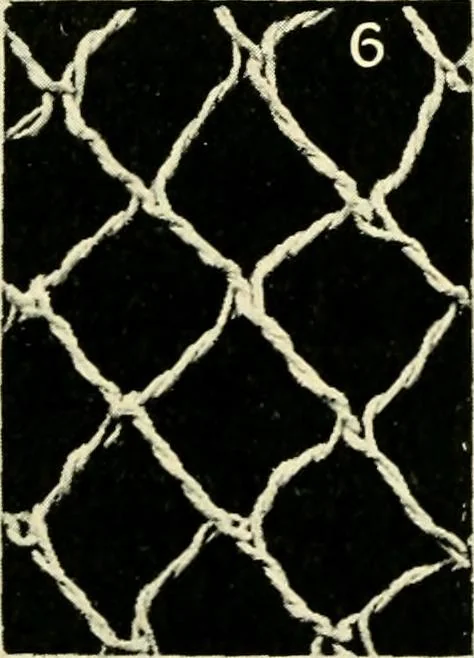 An illustration from Point and pillow lace; a short account of various kinds, ancient and modern, and how to recognise them, 1905, leaf 30