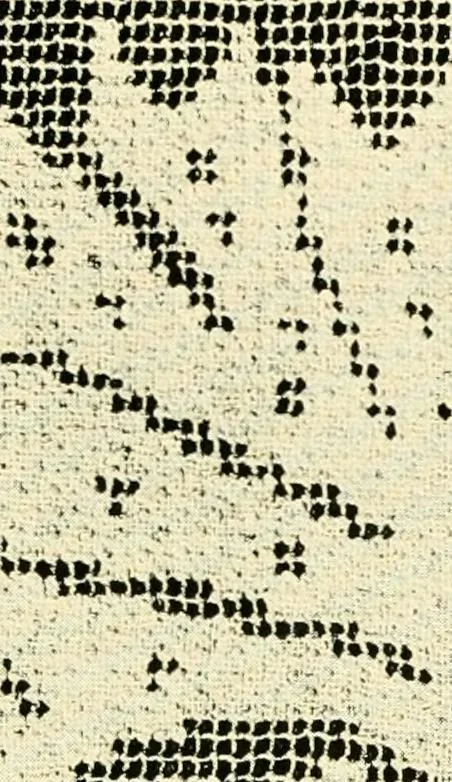 An illustration from Point and pillow lace; a short account of various kinds, ancient and modern, and how to recognise them, 1905, leaf 44