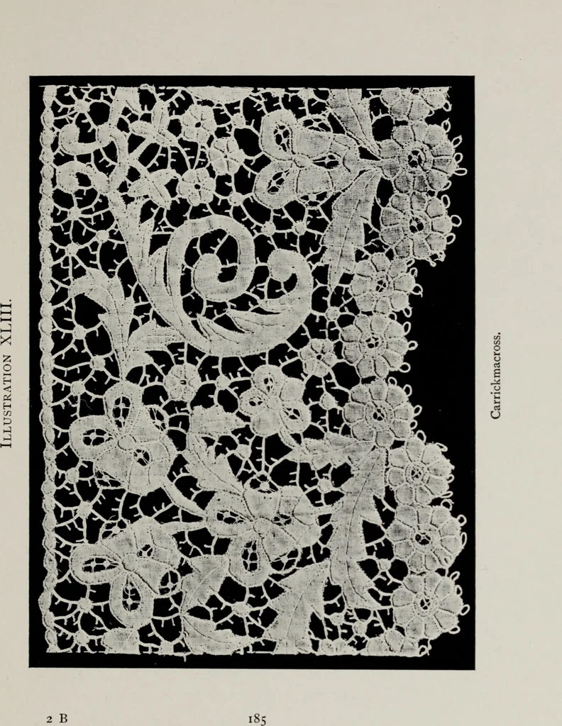 An illustration from Point and pillow lace; a short account of various kinds, ancient and modern, and how to recognise them, 1905, leaf 214