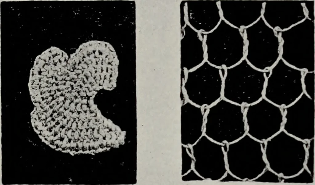 An illustration from Point and pillow lace; a short account of various kinds, ancient and modern, and how to recognise them, 1905, leaf 24