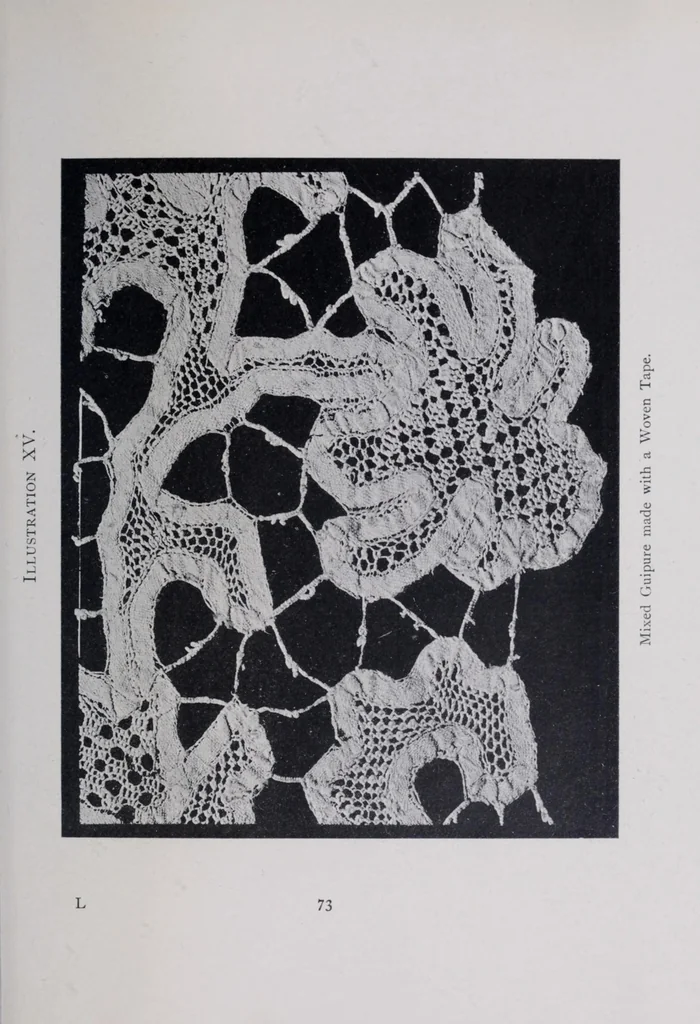 An illustration from Point and pillow lace : a short account of various kinds ancient and modern, and how to recognize them, 1899, leaf 97