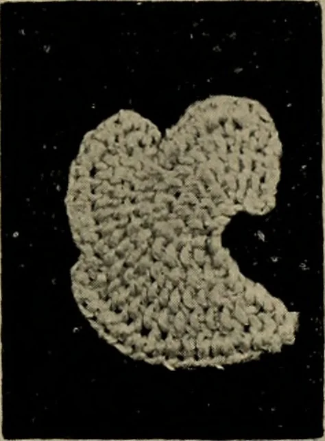 An illustration from Point and pillow lace; a short account of various kinds ancient and modern, and how to recognize them, 1905, leaf 24