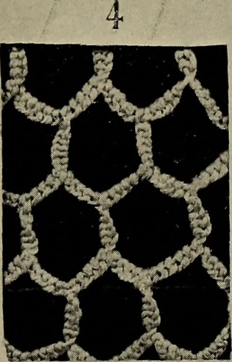 An illustration from Point and pillow lace; a short account of various kinds ancient and modern, and how to recognize them, 1905, leaf 24