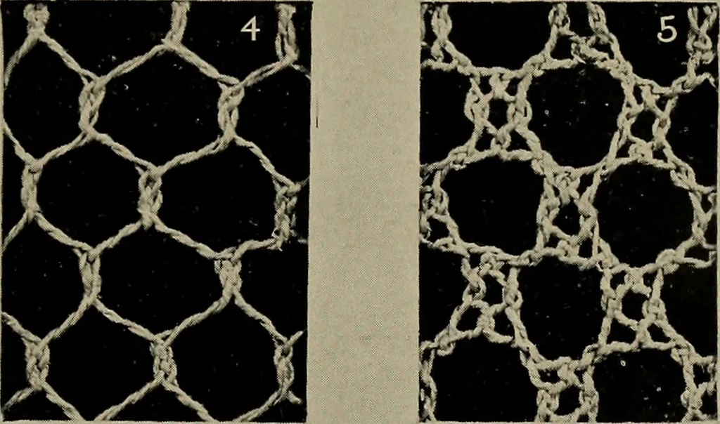 An illustration from Point and pillow lace; a short account of various kinds ancient and modern, and how to recognize them, 1905, leaf 28