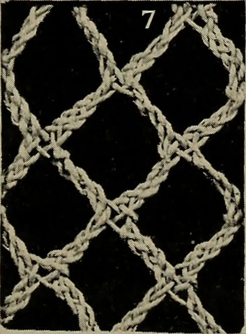 An illustration from Point and pillow lace; a short account of various kinds ancient and modern, and how to recognize them, 1905, leaf 28
