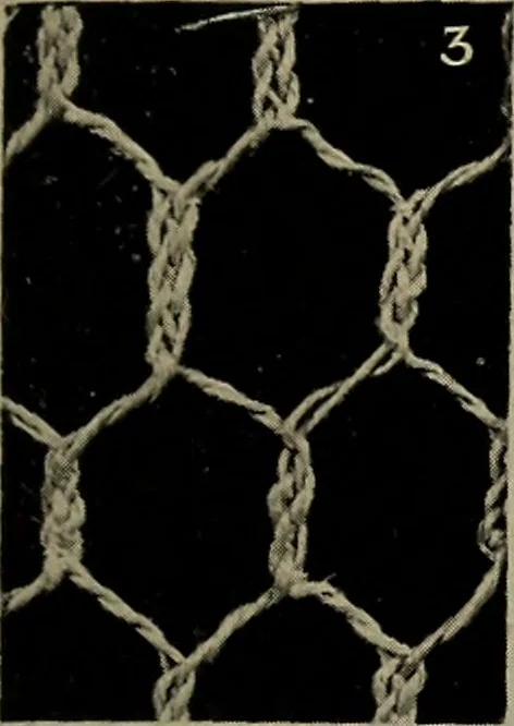 An illustration from Point and pillow lace; a short account of various kinds ancient and modern, and how to recognize them, 1905, leaf 28