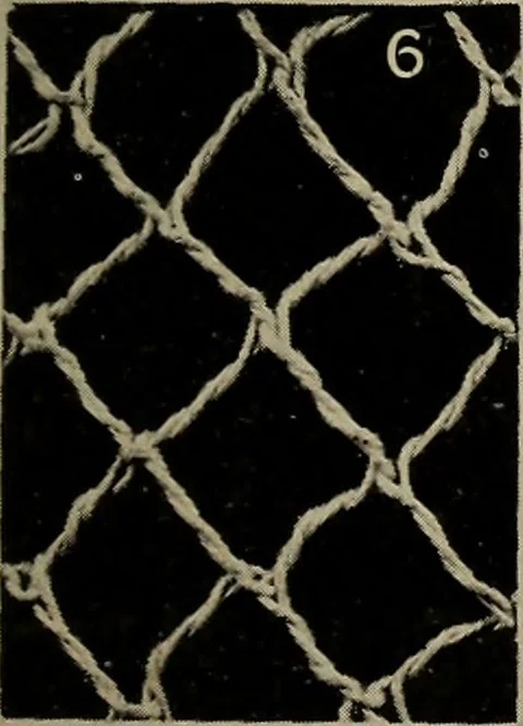 An illustration from Point and pillow lace; a short account of various kinds ancient and modern, and how to recognize them, 1905, leaf 28