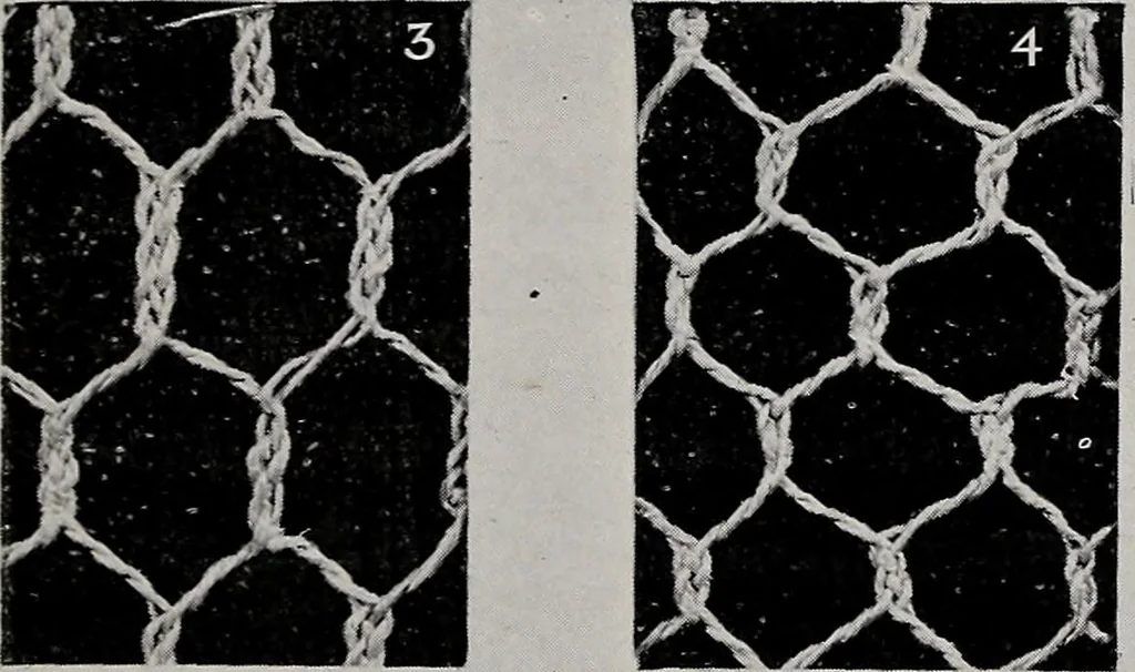 An illustration from Point and pillow lace : a short account of various kinds ancient and modern, and how to recognize them, 1899, leaf 28