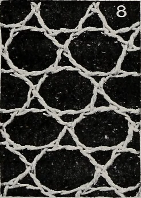 An illustration from Point and pillow lace : a short account of various kinds ancient and modern, and how to recognize them, 1899, leaf 28