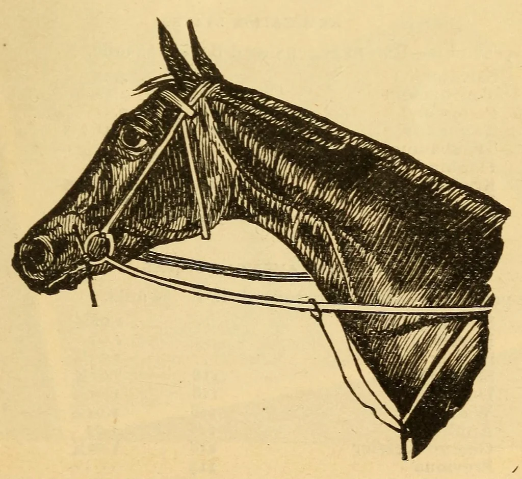 An illustration from Police gazette sporting annual .., 1918, leaf 443