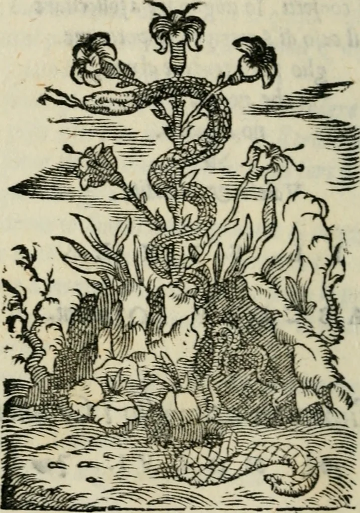 An illustration from Polifila, comedia piacevole..., 1556, leaf 97