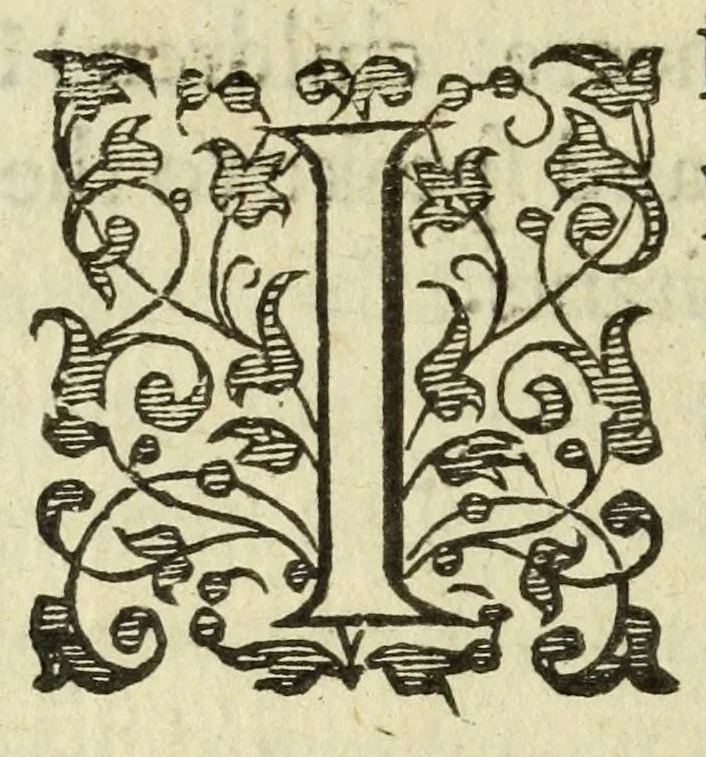 An illustration from Polimanteia, or, The meanes lawfull and vnlawfull, to iudge of the fall of a common-wealth, against the friuolous and foolish coniectures of this age : whereunto is added, a letter from England to her three daughters, Cambridge, Oxford, Innes of Court, and to all the rest of her inhabitants : perswading them to a constant vnitie of what religion soever they are, for the defence of our dread soveraigne, and natiue cuntry: most requisite for this time wherein wee now live, 1595, leaf 142