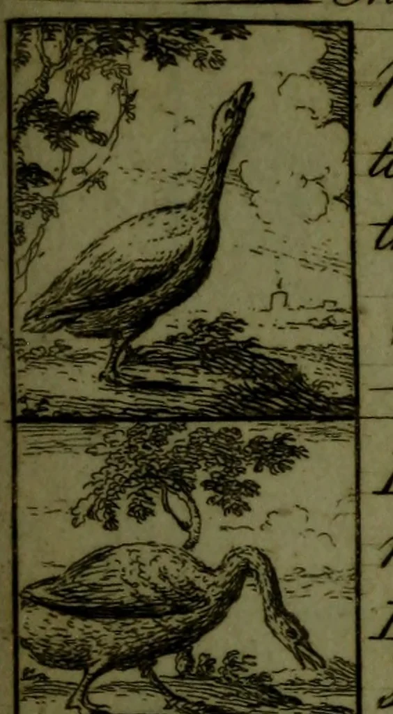 An illustration from A political and satirical history of the years 1756 and 1757 : in a series of seventy-five humorous and entertaining prints, containing all the most remarkable transactions, characters and caricaturas of those two memorable years, to which is annexed, an explanatory account or key to every print, which renders the whole full and significant, 1758, leaf 68
