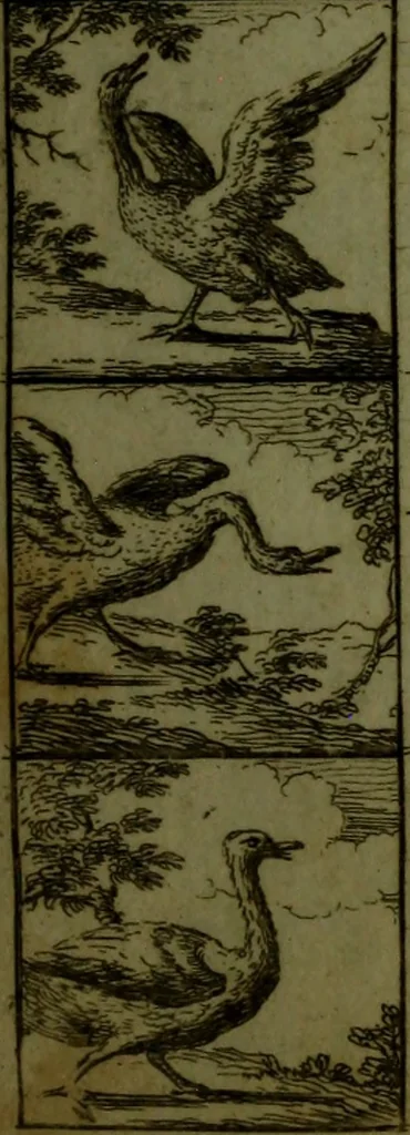 An illustration from A political and satirical history of the years 1756 and 1757 : in a series of seventy-five humorous and entertaining prints, containing all the most remarkable transactions, characters and caricaturas of those two memorable years, to which is annexed, an explanatory account or key to every print, which renders the whole full and significant, 1758, leaf 68