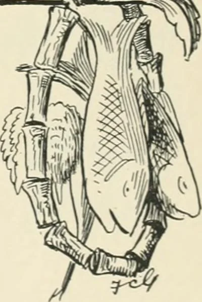 An illustration from The political Struwwelpeter, 1899, leaf 40
