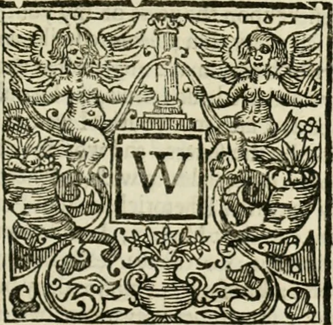 An illustration from Politick discourses;, 1657, leaf 222