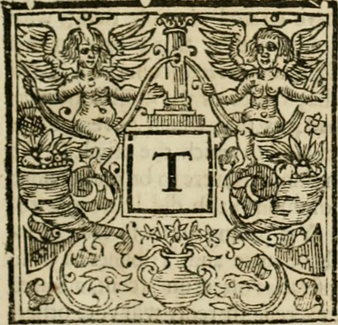 An illustration from Politick discourses;, 1657, leaf 26