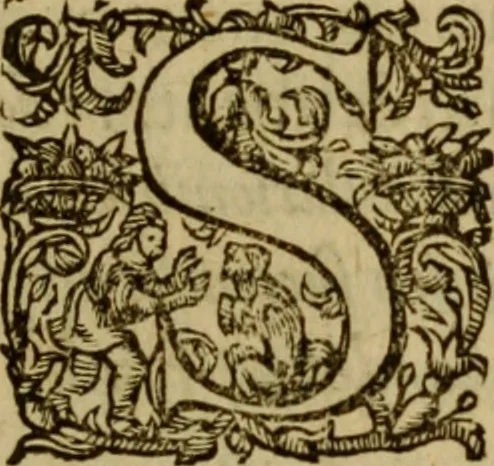 An illustration from Ivsti LipsI Politicorvm, sive, Civilis doctrinae libri sex : qui ad principatum maximè spectant : additae notae auctiores, tum & De vna religione liber, 1604, leaf 144