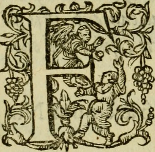 An illustration from Ivsti LipsI Politicorvm, sive, Civilis doctrinae libri sex : qui ad principatum maximè spectant : additae notae auctiores, tum & De vna religione liber, 1604, leaf 205
