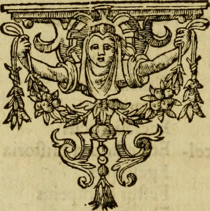An illustration from Ivsti LipsI Politicorvm, sive, Civilis doctrinae libri sex : qui ad principatum maximè spectant : additae notae auctiores, tum & De vna religione liber, 1604, leaf 21