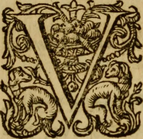 An illustration from Ivsti LipsI Politicorvm, sive, Civilis doctrinae libri sex : qui ad principatum maximè spectant : additae notae auctiores, tum & De vna religione liber, 1604, leaf 22