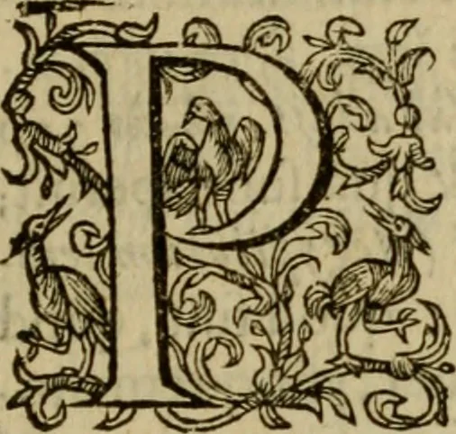 An illustration from Ivsti LipsI Politicorvm, sive, Civilis doctrinae libri sex : qui ad principatum maximè spectant : additae notae auctiores, tum & De vna religione liber, 1604, leaf 232