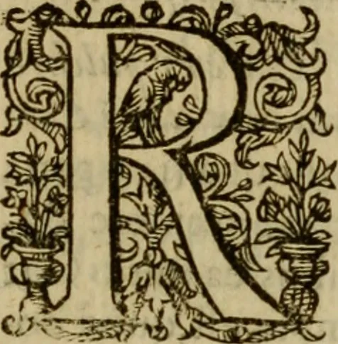 An illustration from Ivsti LipsI Politicorvm, sive, Civilis doctrinae libri sex : qui ad principatum maximè spectant : additae notae auctiores, tum & De vna religione liber, 1604, leaf 250