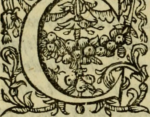 An illustration from Ivsti LipsI Politicorvm, sive, Civilis doctrinae libri sex : qui ad principatum maximè spectant : additae notae auctiores, tum & De vna religione liber, 1604, leaf 287