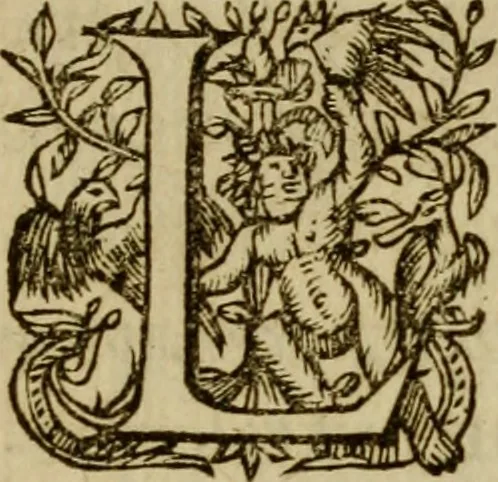An illustration from Ivsti LipsI Politicorvm, sive, Civilis doctrinae libri sex : qui ad principatum maximè spectant : additae notae auctiores, tum & De vna religione liber, 1604, leaf 292