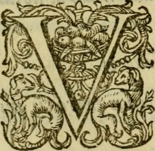 An illustration from Ivsti LipsI Politicorvm, sive, Civilis doctrinae libri sex : qui ad principatum maximè spectant : additae notae auctiores, tum & De vna religione liber, 1604, leaf 37