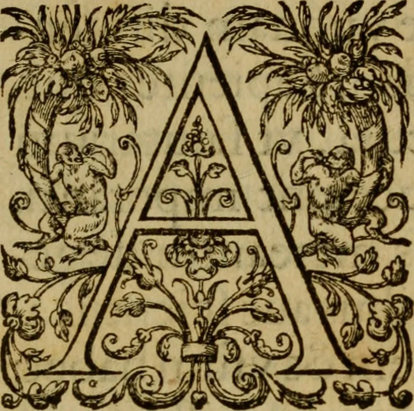 An illustration from Ivsti LipsI Politicorvm, sive, Civilis doctrinae libri sex : qui ad principatum maximè spectant : additae notae auctiores, tum & De vna religione liber, 1604, leaf 4
