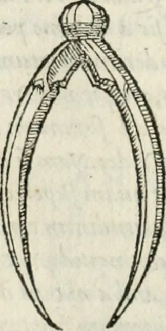 An illustration from M. Vitrvvii Pollionis De architectvra libri decem ad Caesarem Avgvstvm : omnibus omnium editionibus longè emendatiores, collatis veteribus exemplis : accesservnt Gulielmi Philandri Castilionii, ciuis Romani, annotationes castigatiores, & plus tertia parte locupletiores : adiecta est Epitome in omnes Georgij Agricolae De mensuris & ponderibus libros, eodem avtore : cum Graeco pariter & Latino indice locupletissimo, 1552, leaf 101