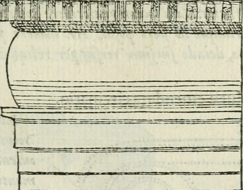 An illustration from M. Vitrvvii Pollionis De architectvra libri decem ad Caesarem Avgvstvm : omnibus omnium editionibus longè emendatiores, collatis veteribus exemplis : accesservnt Gulielmi Philandri Castilionii, ciuis Romani, annotationes castigatiores, & plus tertia parte locupletiores : adiecta est Epitome in omnes Georgij Agricolae De mensuris & ponderibus libros, eodem avtore : cum Graeco pariter & Latino indice locupletissimo, 1552, leaf 120
