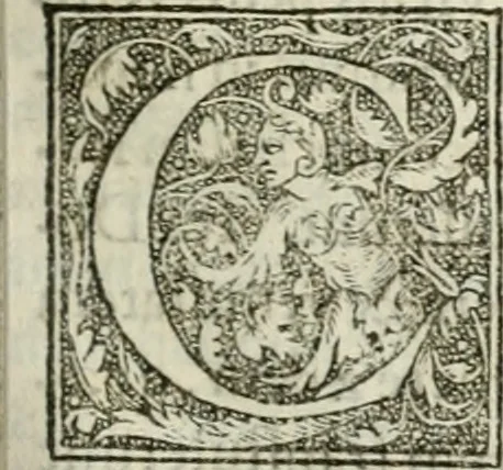 An illustration from M. Vitrvvii Pollionis De architectvra libri decem ad Caesarem Avgvstvm : omnibus omnium editionibus longè emendatiores, collatis veteribus exemplis : accesservnt Gulielmi Philandri Castilionii, ciuis Romani, annotationes castigatiores, & plus tertia parte locupletiores : adiecta est Epitome in omnes Georgij Agricolae De mensuris & ponderibus libros, eodem avtore : cum Graeco pariter & Latino indice locupletissimo, 1552, leaf 144