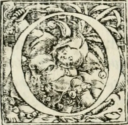 An illustration from M. Vitrvvii Pollionis De architectvra libri decem ad Caesarem Avgvstvm : omnibus omnium editionibus longè emendatiores, collatis veteribus exemplis : accesservnt Gulielmi Philandri Castilionii, ciuis Romani, annotationes castigatiores, & plus tertia parte locupletiores : adiecta est Epitome in omnes Georgij Agricolae De mensuris & ponderibus libros, eodem avtore : cum Graeco pariter & Latino indice locupletissimo, 1552, leaf 171
