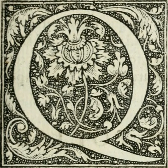 An illustration from M. Vitrvvii Pollionis De architectvra libri decem ad Caesarem Avgvstvm : omnibus omnium editionibus longè emendatiores, collatis veteribus exemplis : accesservnt Gulielmi Philandri Castilionii, ciuis Romani, annotationes castigatiores, & plus tertia parte locupletiores : adiecta est Epitome in omnes Georgij Agricolae De mensuris & ponderibus libros, eodem avtore : cum Graeco pariter & Latino indice locupletissimo, 1552, leaf 186
