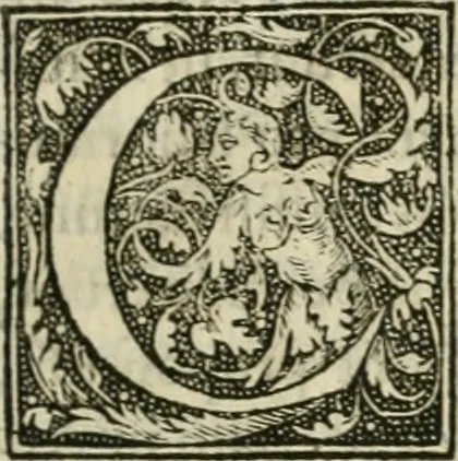 An illustration from M. Vitrvvii Pollionis De architectvra libri decem ad Caesarem Avgvstvm : omnibus omnium editionibus longè emendatiores, collatis veteribus exemplis : accesservnt Gulielmi Philandri Castilionii, ciuis Romani, annotationes castigatiores, & plus tertia parte locupletiores : adiecta est Epitome in omnes Georgij Agricolae De mensuris & ponderibus libros, eodem avtore : cum Graeco pariter & Latino indice locupletissimo, 1552, leaf 20