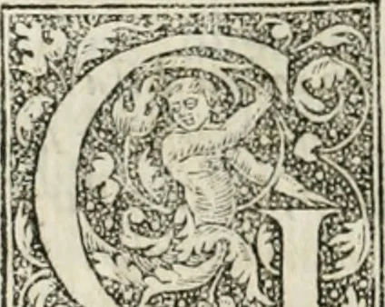 An illustration from M. Vitrvvii Pollionis De architectvra libri decem ad Caesarem Avgvstvm : omnibus omnium editionibus longè emendatiores, collatis veteribus exemplis : accesservnt Gulielmi Philandri Castilionii, ciuis Romani, annotationes castigatiores, & plus tertia parte locupletiores : adiecta est Epitome in omnes Georgij Agricolae De mensuris & ponderibus libros, eodem avtore : cum Graeco pariter & Latino indice locupletissimo, 1552, leaf 215