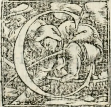 An illustration from M. Vitrvvii Pollionis De architectvra libri decem ad Caesarem Avgvstvm : omnibus omnium editionibus longè emendatiores, collatis veteribus exemplis : accesservnt Gulielmi Philandri Castilionii, ciuis Romani, annotationes castigatiores, & plus tertia parte locupletiores : adiecta est Epitome in omnes Georgij Agricolae De mensuris & ponderibus libros, eodem avtore : cum Graeco pariter & Latino indice locupletissimo, 1552, leaf 259