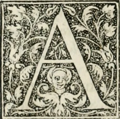 An illustration from M. Vitrvvii Pollionis De architectvra libri decem ad Caesarem Avgvstvm : omnibus omnium editionibus longè emendatiores, collatis veteribus exemplis : accesservnt Gulielmi Philandri Castilionii, ciuis Romani, annotationes castigatiores, & plus tertia parte locupletiores : adiecta est Epitome in omnes Georgij Agricolae De mensuris & ponderibus libros, eodem avtore : cum Graeco pariter & Latino indice locupletissimo, 1552, leaf 265