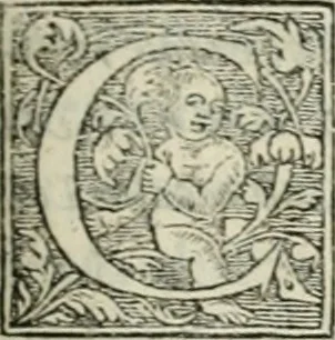 An illustration from M. Vitrvvii Pollionis De architectvra libri decem ad Caesarem Avgvstvm : omnibus omnium editionibus longè emendatiores, collatis veteribus exemplis : accesservnt Gulielmi Philandri Castilionii, ciuis Romani, annotationes castigatiores, & plus tertia parte locupletiores : adiecta est Epitome in omnes Georgij Agricolae De mensuris & ponderibus libros, eodem avtore : cum Graeco pariter & Latino indice locupletissimo, 1552, leaf 278