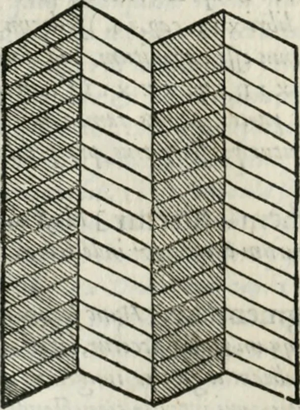 An illustration from M. Vitrvvii Pollionis De architectvra libri decem ad Caesarem Avgvstvm : omnibus omnium editionibus longè emendatiores, collatis veteribus exemplis : accesservnt Gulielmi Philandri Castilionii, ciuis Romani, annotationes castigatiores, & plus tertia parte locupletiores : adiecta est Epitome in omnes Georgij Agricolae De mensuris & ponderibus libros, eodem avtore : cum Graeco pariter & Latino indice locupletissimo, 1552, leaf 285