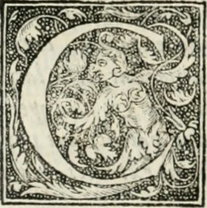 An illustration from M. Vitrvvii Pollionis De architectvra libri decem ad Caesarem Avgvstvm : omnibus omnium editionibus longè emendatiores, collatis veteribus exemplis : accesservnt Gulielmi Philandri Castilionii, ciuis Romani, annotationes castigatiores, & plus tertia parte locupletiores : adiecta est Epitome in omnes Georgij Agricolae De mensuris & ponderibus libros, eodem avtore : cum Graeco pariter & Latino indice locupletissimo, 1552, leaf 299