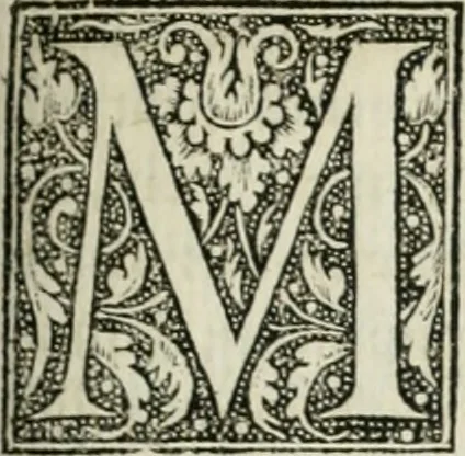 An illustration from M. Vitrvvii Pollionis De architectvra libri decem ad Caesarem Avgvstvm : omnibus omnium editionibus longè emendatiores, collatis veteribus exemplis : accesservnt Gulielmi Philandri Castilionii, ciuis Romani, annotationes castigatiores, & plus tertia parte locupletiores : adiecta est Epitome in omnes Georgij Agricolae De mensuris & ponderibus libros, eodem avtore : cum Graeco pariter & Latino indice locupletissimo, 1552, leaf 304