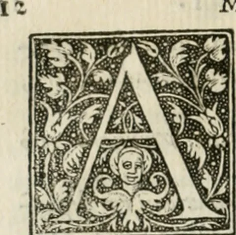 An illustration from M. Vitrvvii Pollionis De architectvra libri decem ad Caesarem Avgvstvm : omnibus omnium editionibus longè emendatiores, collatis veteribus exemplis : accesservnt Gulielmi Philandri Castilionii, ciuis Romani, annotationes castigatiores, & plus tertia parte locupletiores : adiecta est Epitome in omnes Georgij Agricolae De mensuris & ponderibus libros, eodem avtore : cum Graeco pariter & Latino indice locupletissimo, 1552, leaf 31