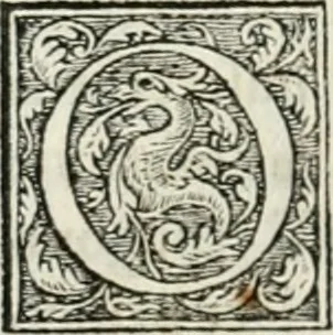 An illustration from M. Vitrvvii Pollionis De architectvra libri decem ad Caesarem Avgvstvm : omnibus omnium editionibus longè emendatiores, collatis veteribus exemplis : accesservnt Gulielmi Philandri Castilionii, ciuis Romani, annotationes castigatiores, & plus tertia parte locupletiores : adiecta est Epitome in omnes Georgij Agricolae De mensuris & ponderibus libros, eodem avtore : cum Graeco pariter & Latino indice locupletissimo, 1552, leaf 325