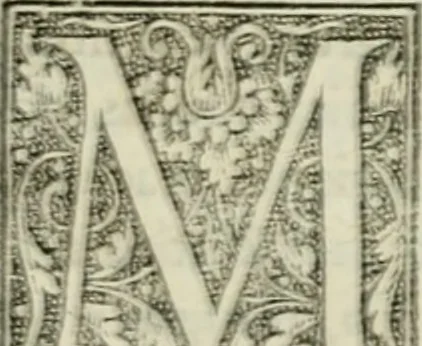 An illustration from M. Vitrvvii Pollionis De architectvra libri decem ad Caesarem Avgvstvm : omnibus omnium editionibus longè emendatiores, collatis veteribus exemplis : accesservnt Gulielmi Philandri Castilionii, ciuis Romani, annotationes castigatiores, & plus tertia parte locupletiores : adiecta est Epitome in omnes Georgij Agricolae De mensuris & ponderibus libros, eodem avtore : cum Graeco pariter & Latino indice locupletissimo, 1552, leaf 422