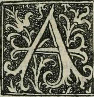 An illustration from Polybii historici primo bellp punico Leonardo Aretino interprete, libri tres. Leonardi Aretini De temporibus suis, liber vnus. Plutarchi Parallelia Guarino Veronensi paraphraste opusculum aureum, 1512, leaf 79